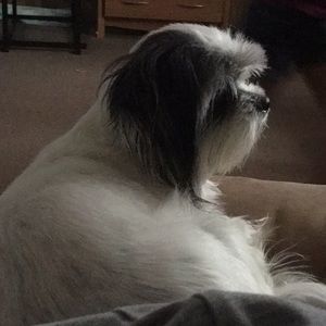 Meet your Posher, Patti